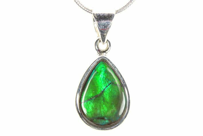 Stunning Ammolite Pendant (Necklace) - Sterling Silver #278404